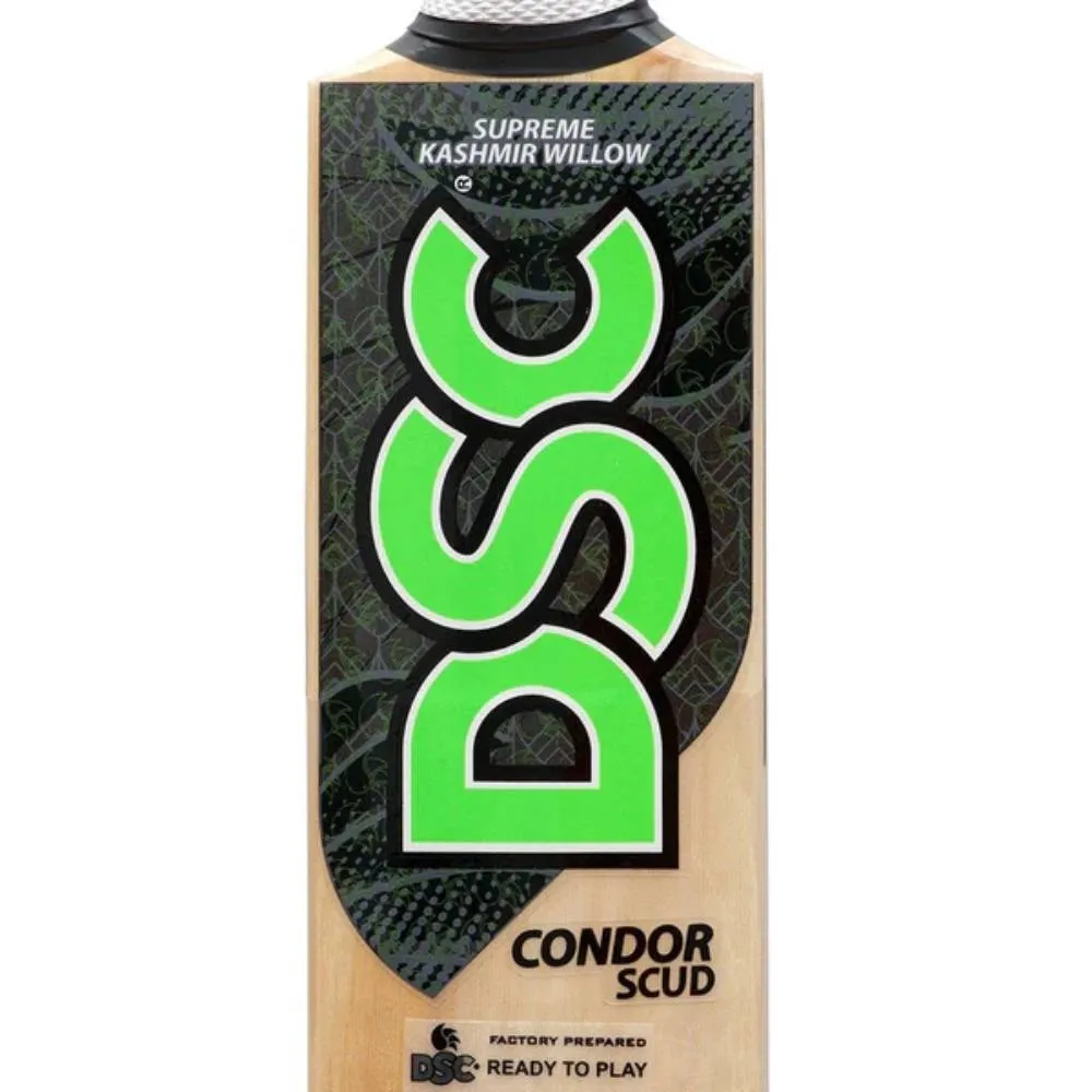 DSC Condor Scud Kashmir Willow Cricket Bat (NO 3)