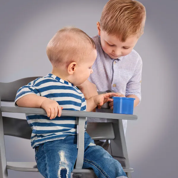 Hauck Baby Alpha+ Grow Along Adjustable Beechwood Wooden High Chair Seat + 5-Point Harness & Bumper Bar, Grey