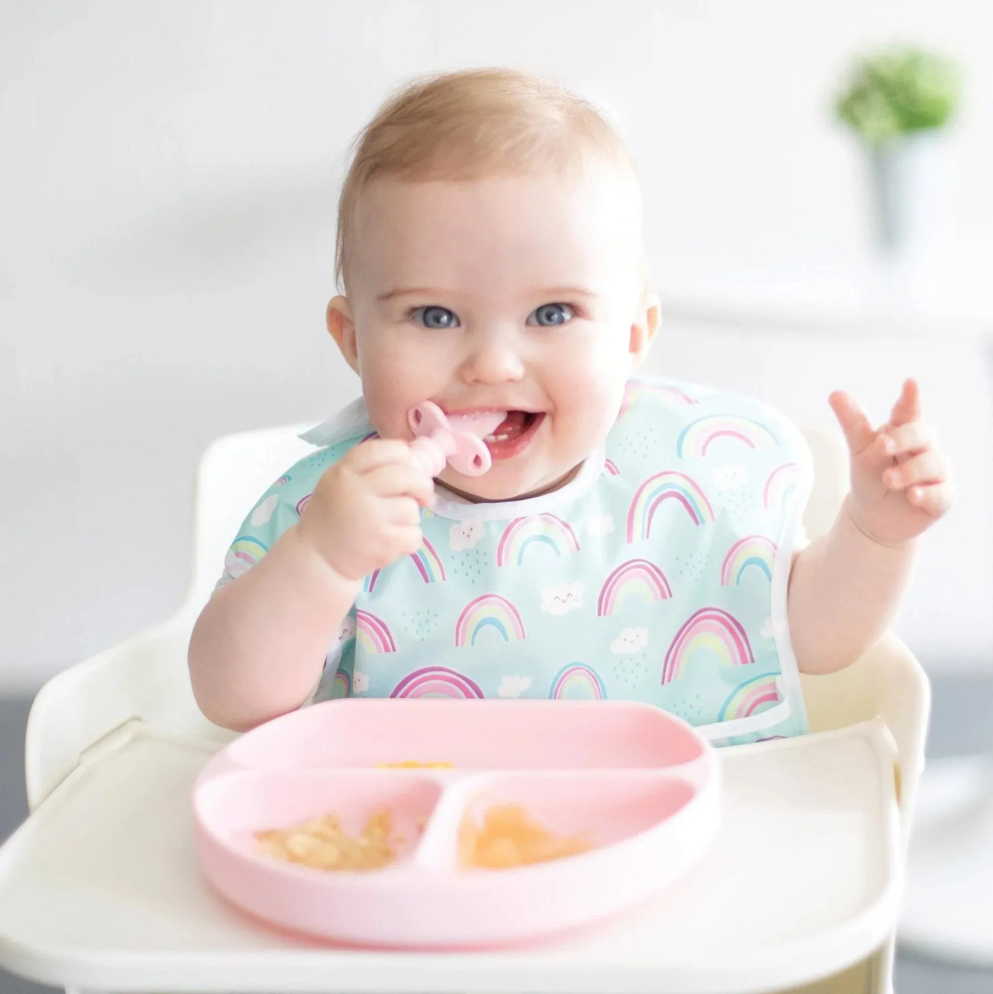 Silicone Grip Dish: Pink