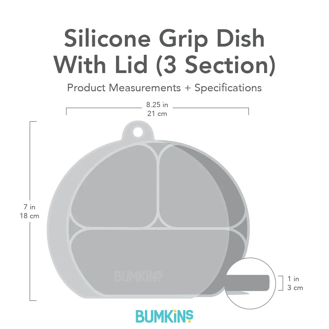 Silicone Grip Dish with Lid (3 Section): Lavender